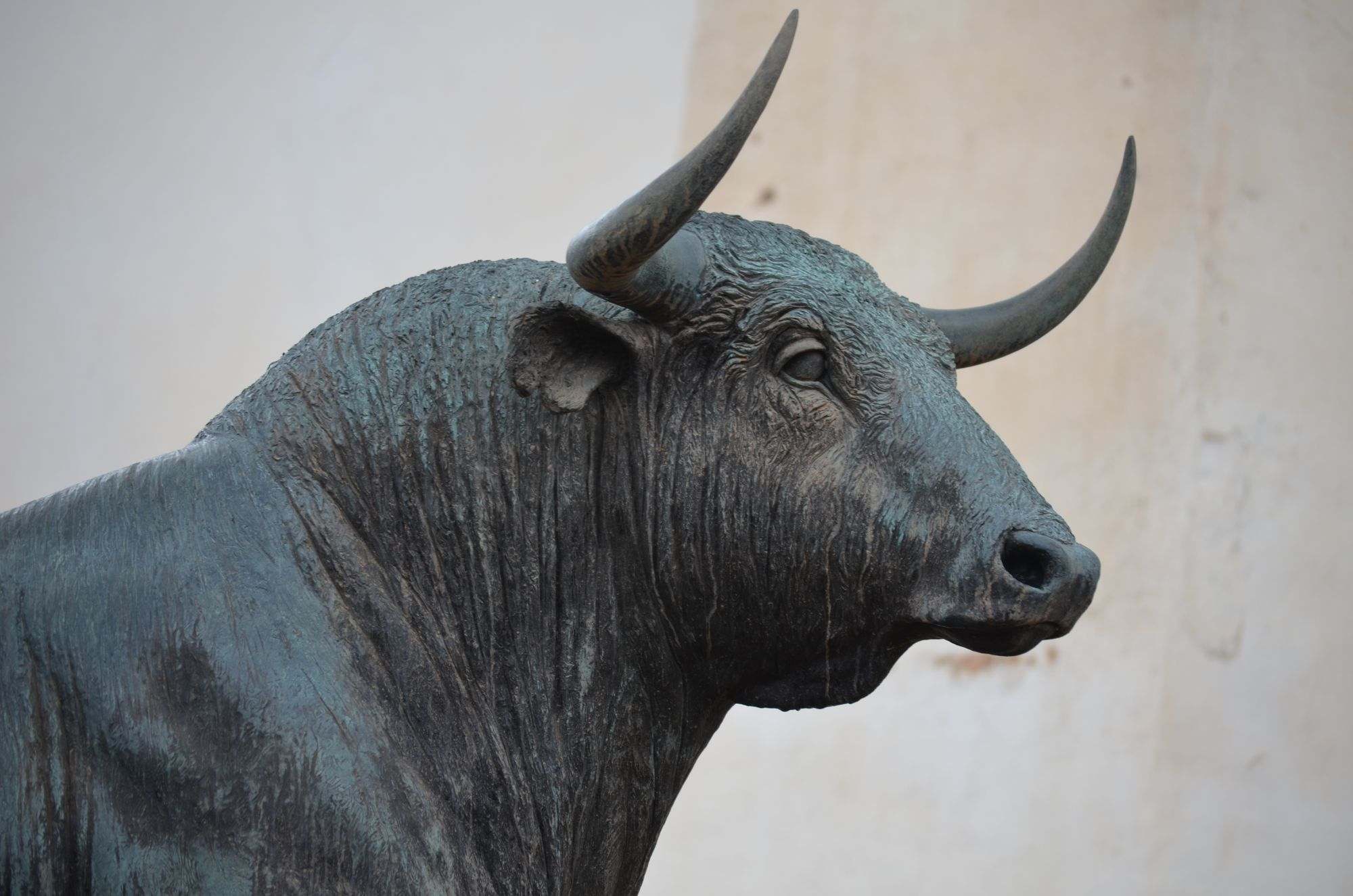 Bronze bull sculpture in profile against a warm stone wall